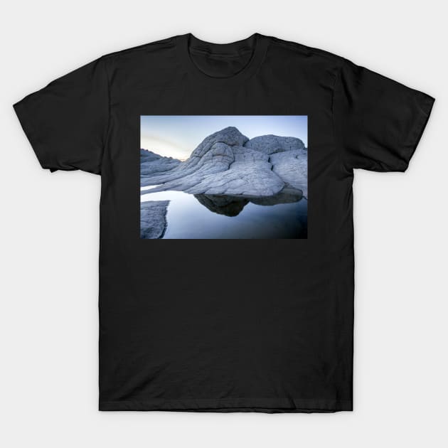 Brain Rock T-Shirt by algill